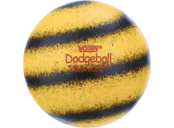 Dodgeball Softball Volley Kanonball 16 cm | 115 gram